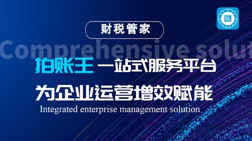 拍账王 备受瞩目的互联网财税服务品牌